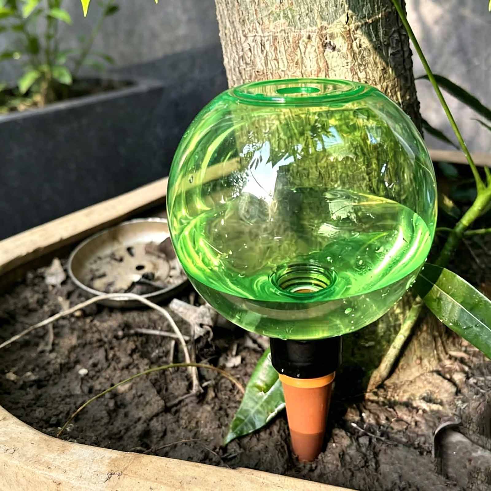 Plant Watering Globe - Boules d'arrosage automatiques pour plantes, globes