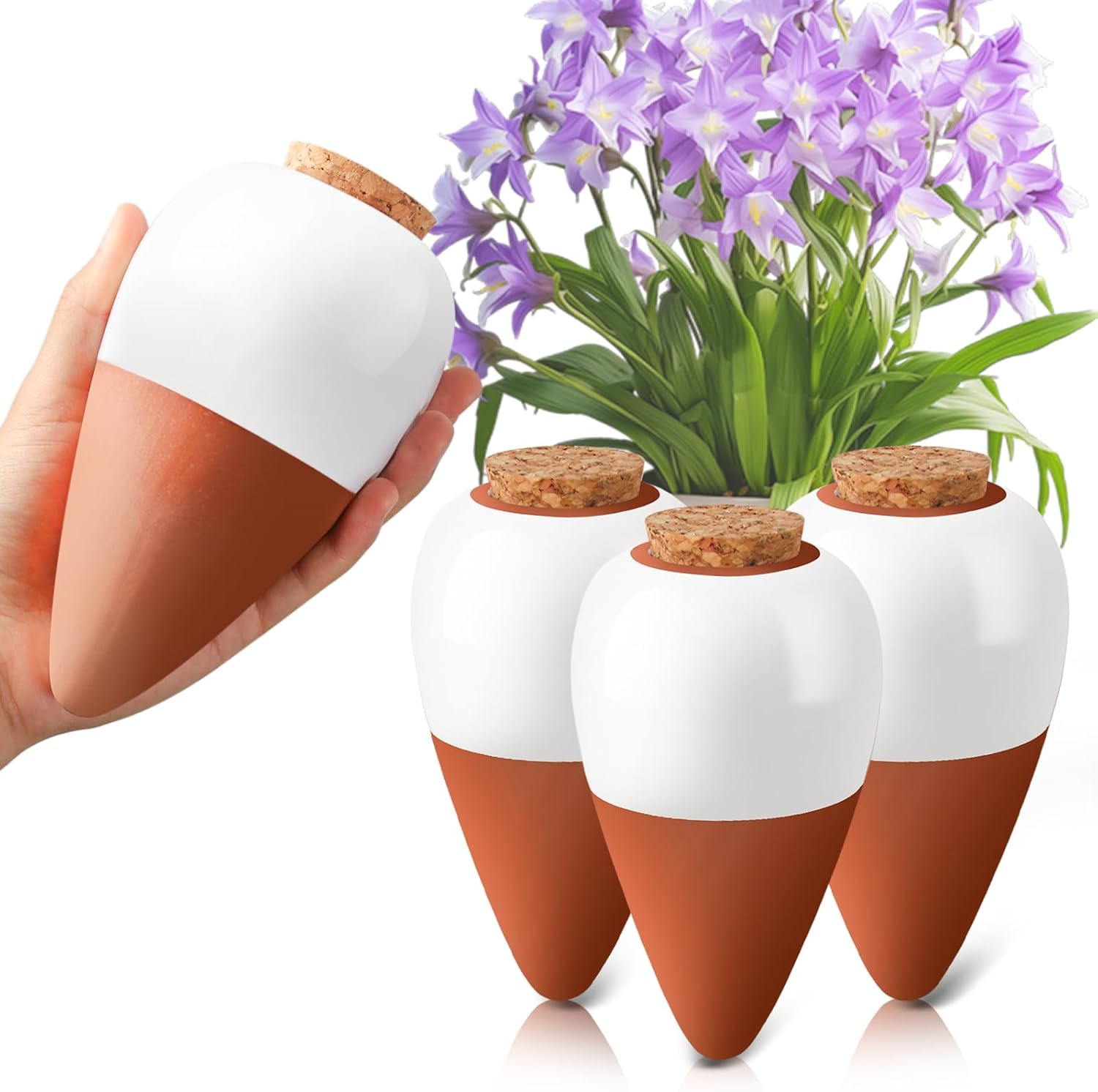 Plant Watering Globe - Globes d'arrosage en terre cuite, Globe