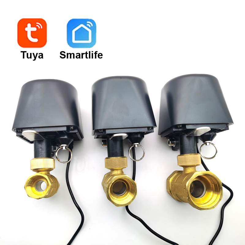 Smart Garden Valve - Tuya WiFi ou Zigbee vanne d'eau