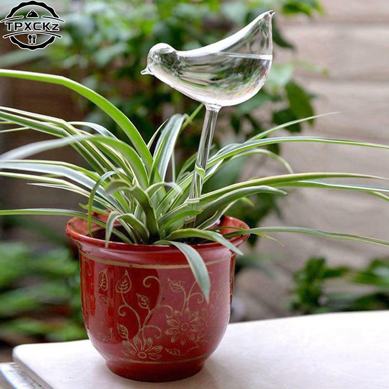Arrosoir automatique en plasti - Plant Watering Globe avis et prix