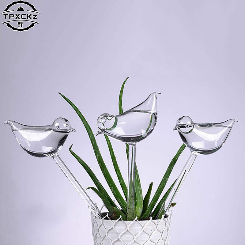 Arrosoir automatique en plasti - Plant Watering Globe avis et prix