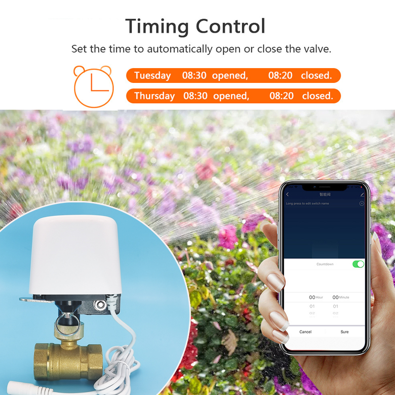 Vanne d'eau intelligente Tuya  - Smart Garden Valve avis et prix