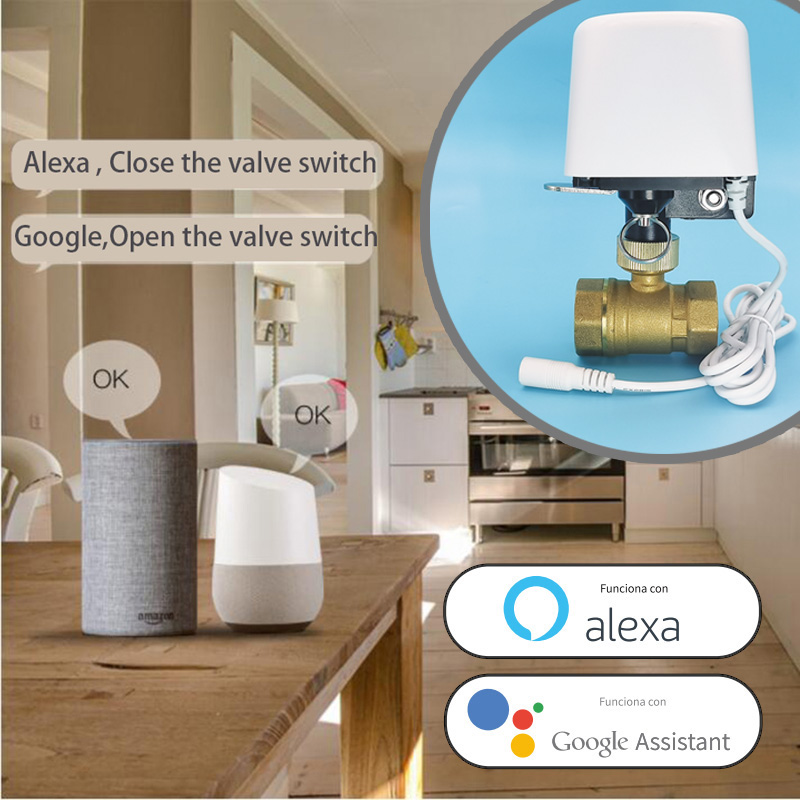 Vanne d'eau intelligente Tuya  - Smart Garden Valve avis et prix