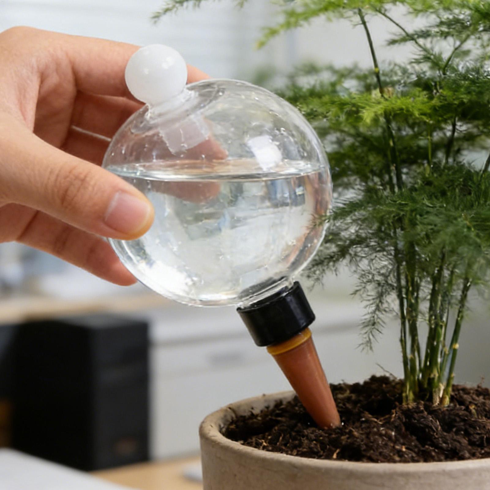 Bulbes d'arrosage automatiques - Plant Watering Globe avis et prix