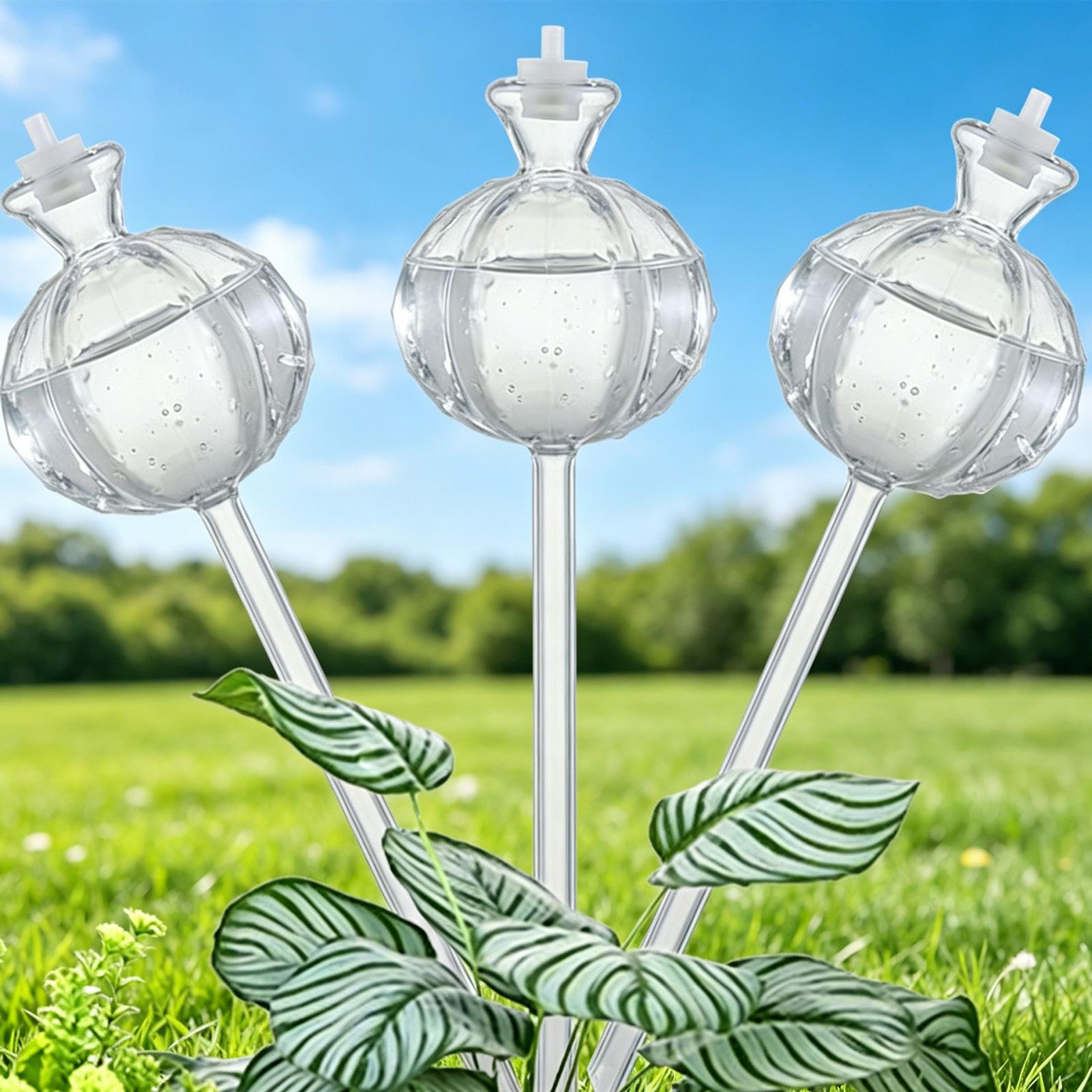 Globes auto-arrosants 3 pièces - Plant Watering Globe avis et prix