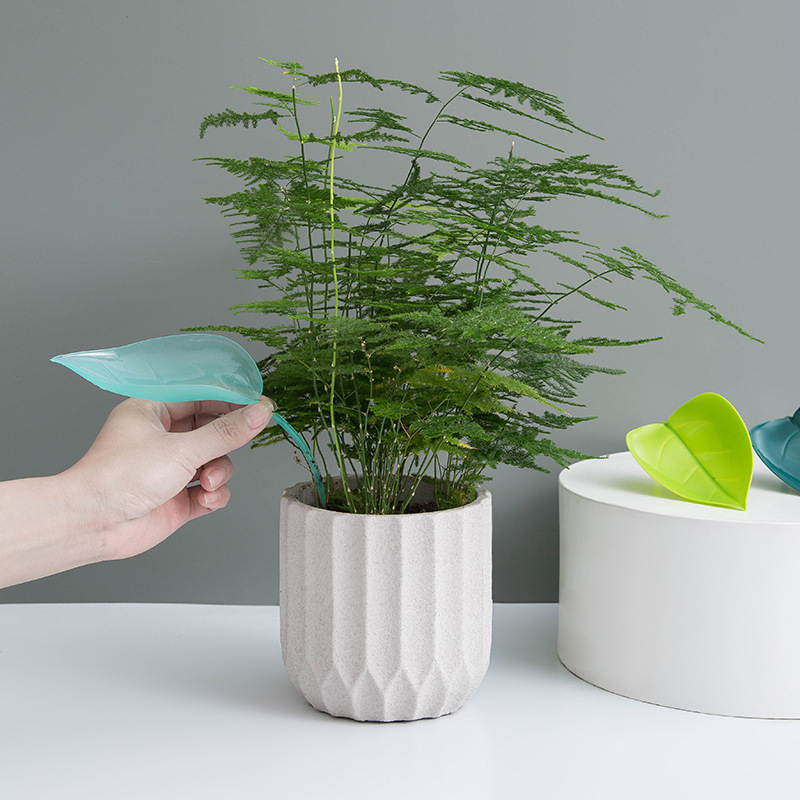 Entonnoir d'arrosage créatif p - Plant Watering Globe avis et prix