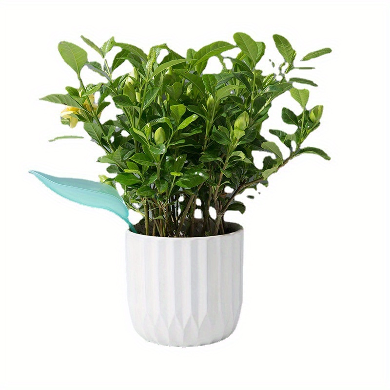 Entonnoir d'arrosage créatif p - Plant Watering Globe avis et prix
