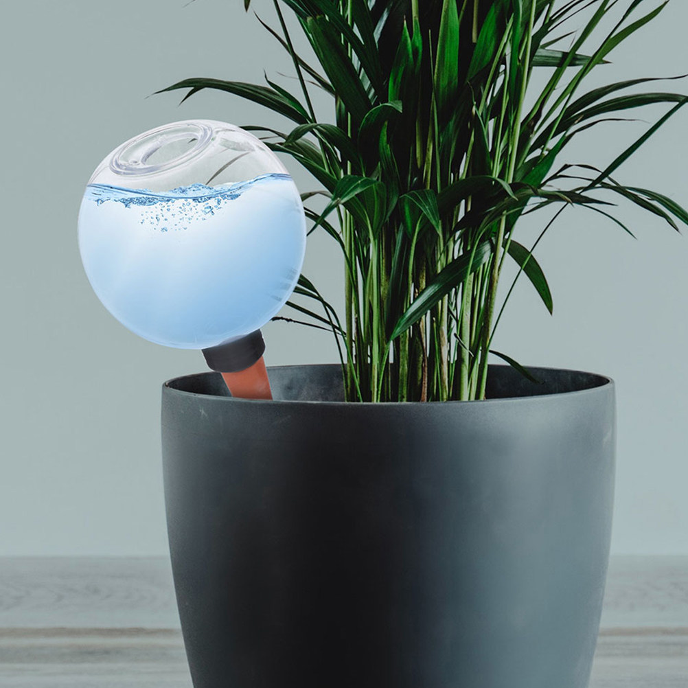 3 Globes d'arrosage automatiqu - Plant Watering Globe avis et prix