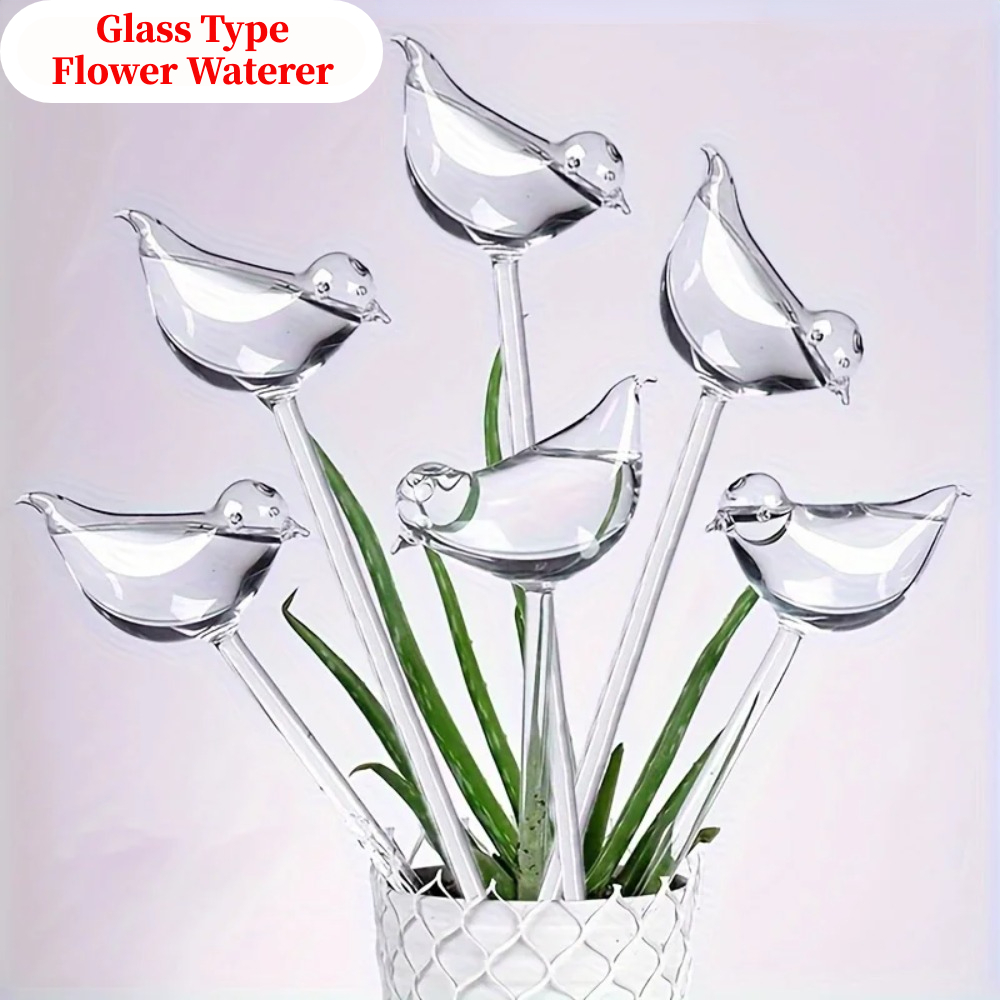 Dispositif d'arrosage automati - Plant Watering Globe avis et prix