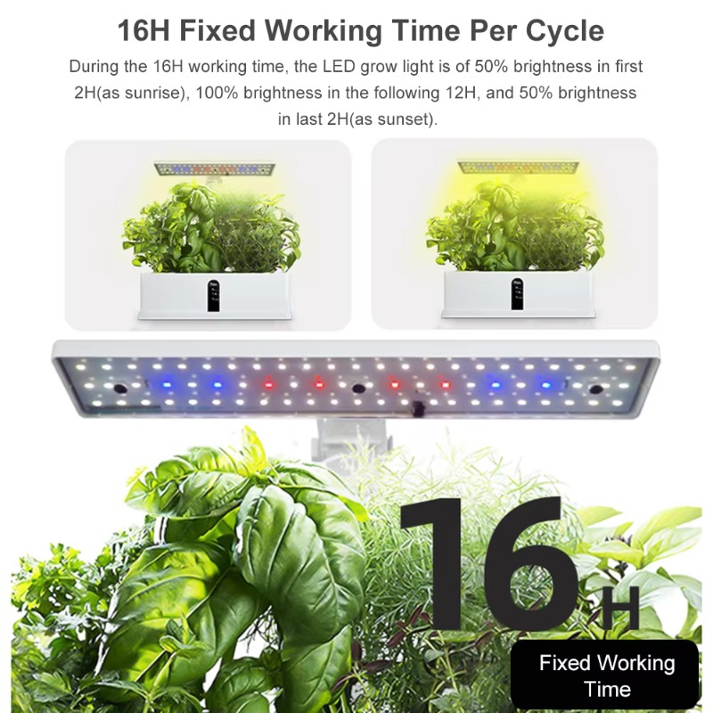 Système de culture hydroponiqu - Smart Garden Lighting System avis et prix