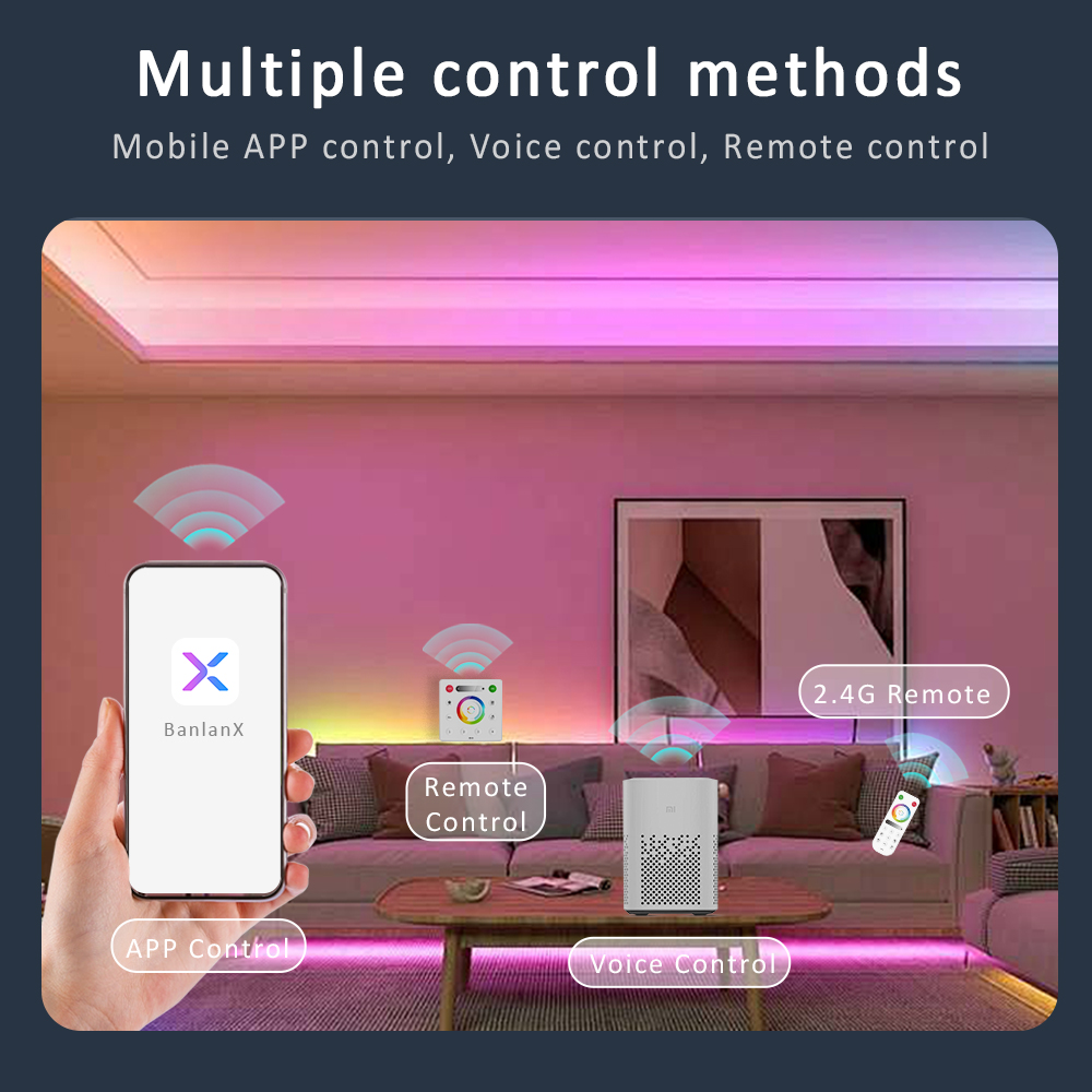 Contrôleur LED Wifi Bluetooth  - Smart Garden Light Controller avis et prix