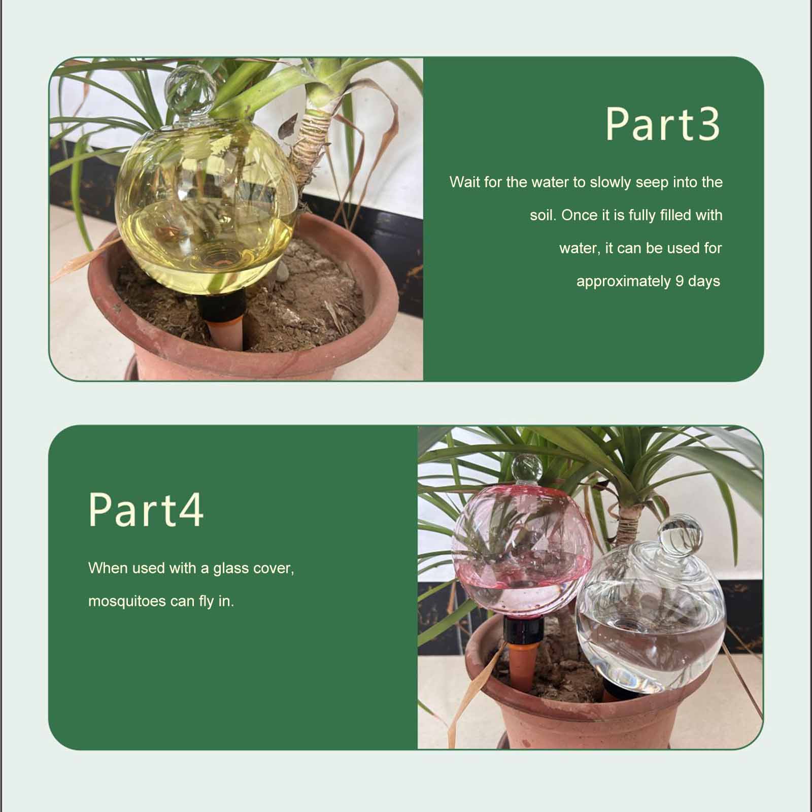 Globes d'arrosage automatiques - Plant Watering Globe avis et prix