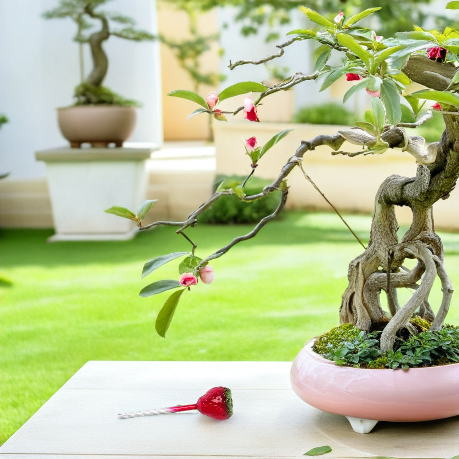 2 Globes d'arrosage automatiqu - Plant Watering Globe avis et prix