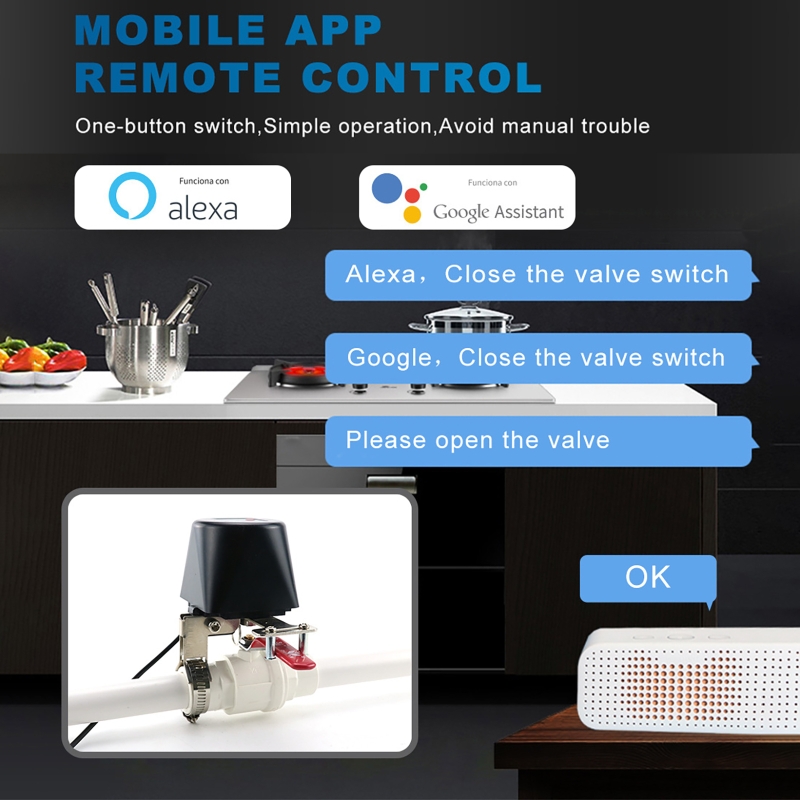 Vanne de gaz intelligente Tuya - Smart Garden Valve avis et prix
